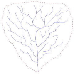 Schéma d'une structure arborescence