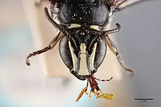 Description de cette image, également commentée ci-après