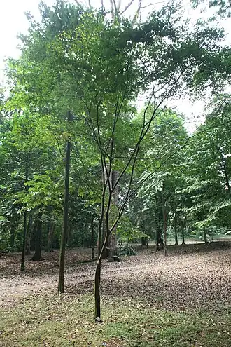 Description de cette image, également commentée ci-après