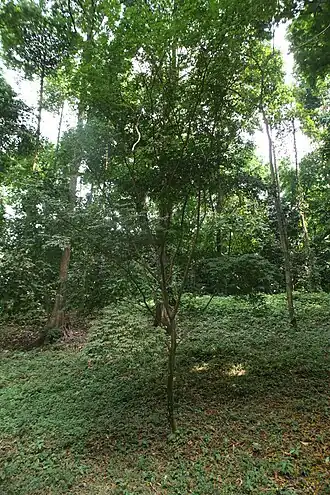 Description de cette image, également commentée ci-après