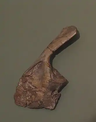 Description de cette image, également commentée ci-après