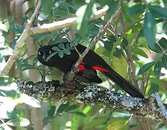 Description de cette image, également commentée ci-après
