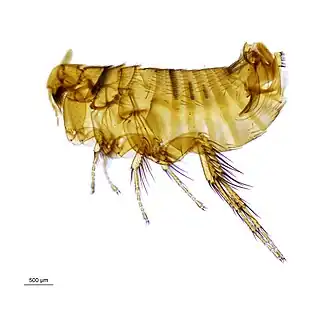 Description de cette image, également commentée ci-après