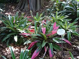 Description de cette image, également commentée ci-après