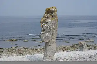 Stack sur une plage de l'aire naturelle protégée de Langhammars, sur l'ile de Fårö. Aout 2014.