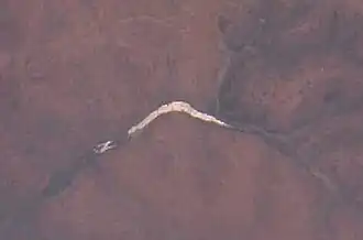 Image illustrative de l’article Lac Cyohoha Nord