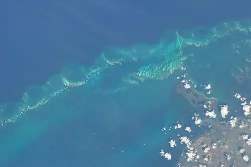Cayo de Buenavista et cayo Rapado Chico