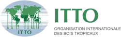 logo de Organisation Internationale pour les Bois Tropicaux