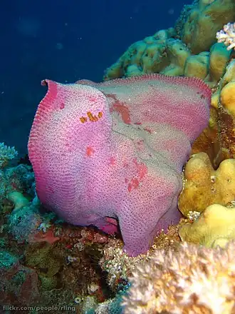 Description de cette image, également commentée ci-après