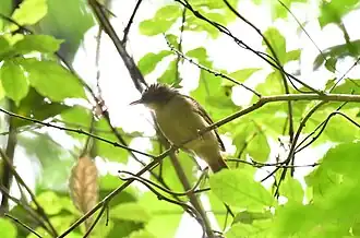 Description de cette image, également commentée ci-après
