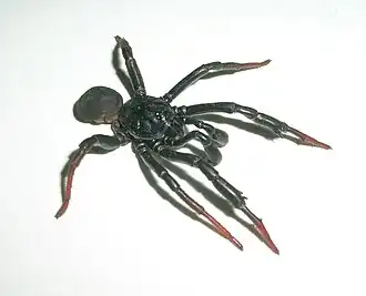 Description de cette image, également commentée ci-après