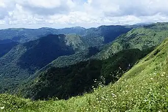 Le district d'Idukki est avec le Wayanad et Pathanamthitta, l'un des trois districts complètement montagneux de l'État.