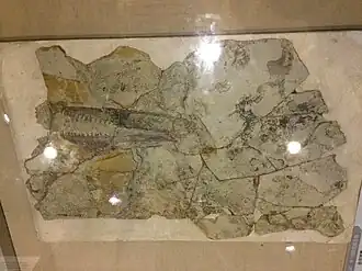 Description de cette image, également commentée ci-après