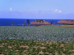 L'île du Guesclin, vue des terres.
