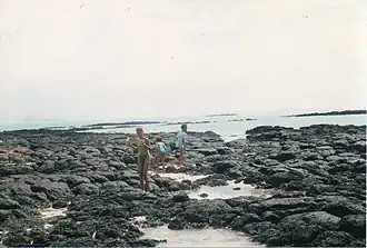 Image illustrative de l’article Île d'Ambre