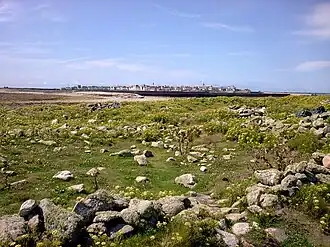 Image illustrative de l’article Kélaourou