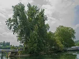 Image illustrative de l’article Île du Berceau