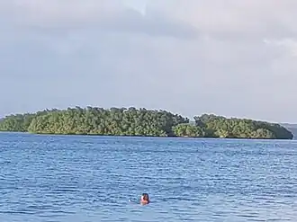 L'îlet Rat vu de la plage de Babin