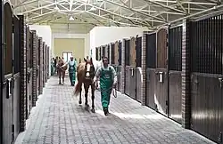 Une écurie dans laquelle un homme marche avec un cheval roux-doré tenu en main.