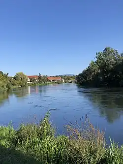 L'Ill à La Wantzenau. Au fond apparaît le Hornisgrinde.