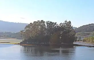 Image illustrative de l’article Îlot de Castillo