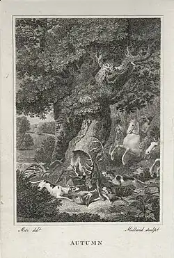 gravure, chasse au cerf, beagles entourant un cerf, chasseurs arrivant par derrière