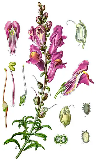 Description de cette image, également commentée ci-après