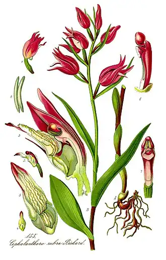 Description de cette image, également commentée ci-après