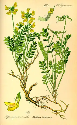 Description de cette image, également commentée ci-après