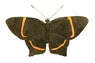 Description de cette image, également commentée ci-après