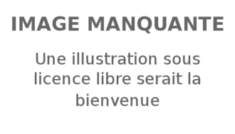 Ancien logo de Rete 2 de 1985 à 1999[réf.&nbsp;nécessaire]