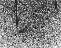 Description de l'image Image of comet "West-Hartley (1989k)" Eso8905a.jpg.