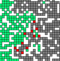 Illustration des automates cellulaires avec les feux de forêt
