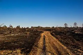 Effets de l'incendie du 19 avril 2015.