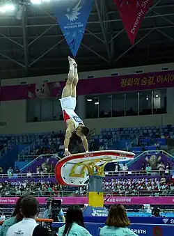 Description de l'image Incheon AsianGames Gymnastics 08 (15164529567).jpg.