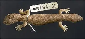 Description de l'image Independent-Transitions-between-Monsoonal-and-Arid-Biomes-Revealed-by-Systematic-Revison-of-a-pone.0111895.g014.jpg.