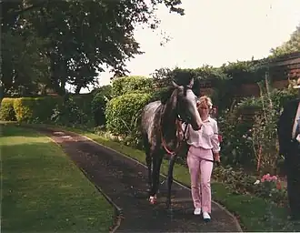 Image illustrative de l’article Indian Skimmer