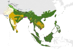 Écozone Indomalaise