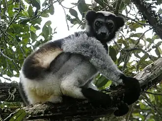 Description de cette image, également commentée ci-après