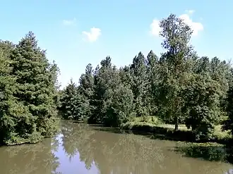 Photographie en couleurs d'une rivière bordée d'arbres, vue depuis un pont.