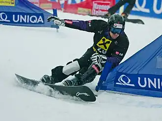 Image illustrative de l’article Ingemar Walder