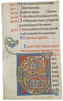 Initiale V ornée de motifs végétaux