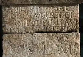 Inscription latine de Narbonne avec les noms de Mars Cicolluis et Litavis.