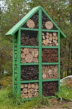 Hôtel à insectes.