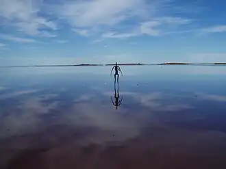 Inside Australia, Lac Ballard, 2003.