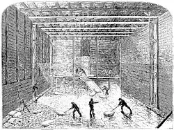 Gravure montrant un vaste espace à l'intérieur d'un bâtiment en bois. Des blocs de glace descendus le long d'une rampe dans le fond sont empilés sur le sol par plusieurs hommes.