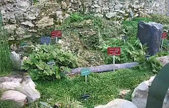 Cryptogames fossiles (cartels rouges) et vivants actuels (cartels verts) : présentation comparative des grandes serres du Jardin des plantes, Paris.