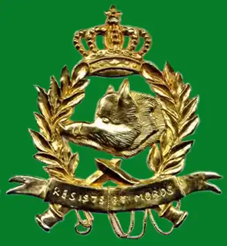 Image illustrative de l’article Chasseurs ardennais