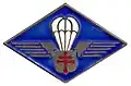 Insigne de la 1re&nbsp;compagnie de chasseurs parachutistes.