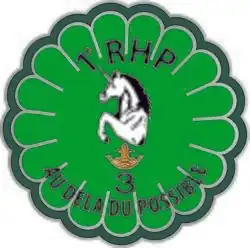 Insigne du 3e escadron